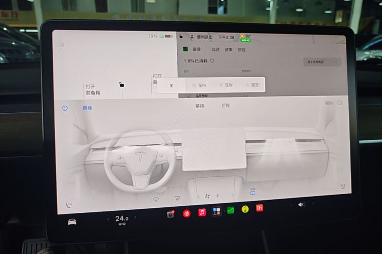 Tesla Model 3 2020 #13 Tesla Model 3 2020 car image #13