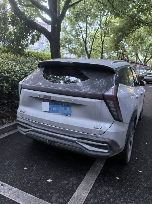 GEELY Boyue L 2024 car image #6