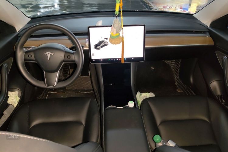 Tesla Model 3 2020 immagine di auto #11
