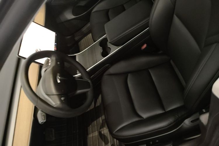 Tesla Model 3 2020 car image #17
