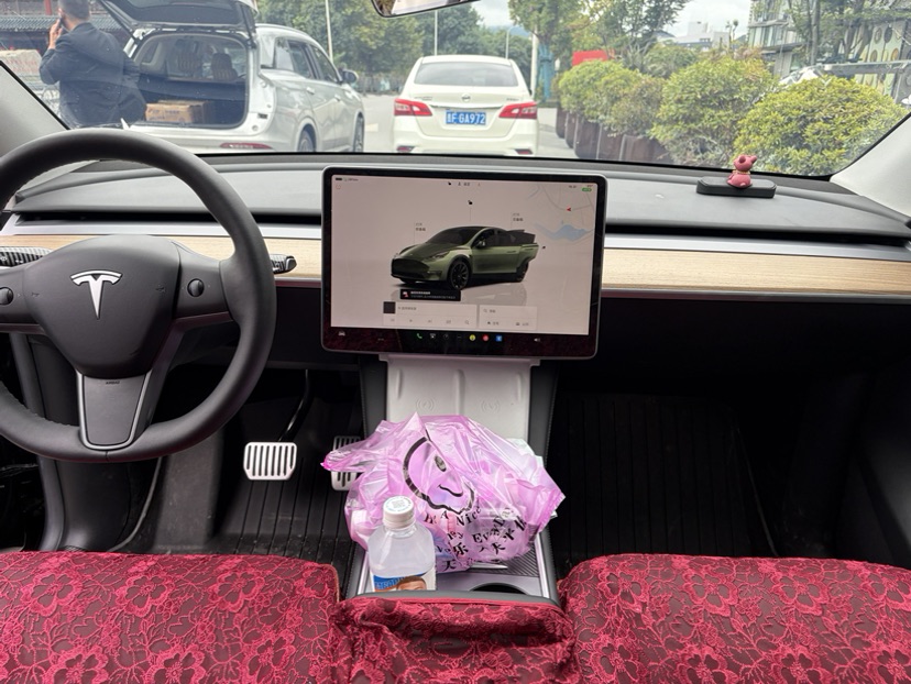 Tesla Model Y 2023 car image #3