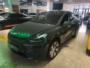 Tesla Model Y 2021 Tesla Model Y 2021 car image