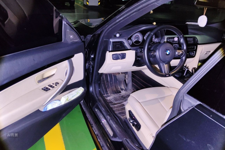 BMW 3 Series GT 2017 car image #18