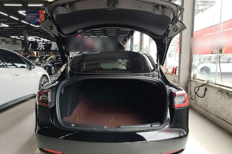 Tesla Model 3 2023 #21 Tesla Model 3 2023 car image #21