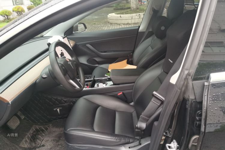 Tesla Model 3 2020 car image #17