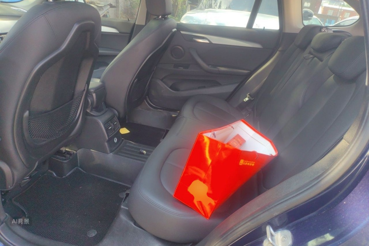 BMW X1 2017 immagine di auto #19