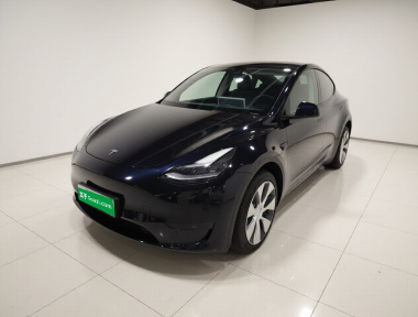 Tesla Model Y 2023 Tesla Model Y 2023 car image