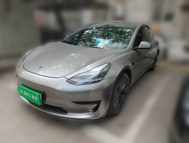 Tesla Model 3 2021 Tesla Model 3 2021 car image