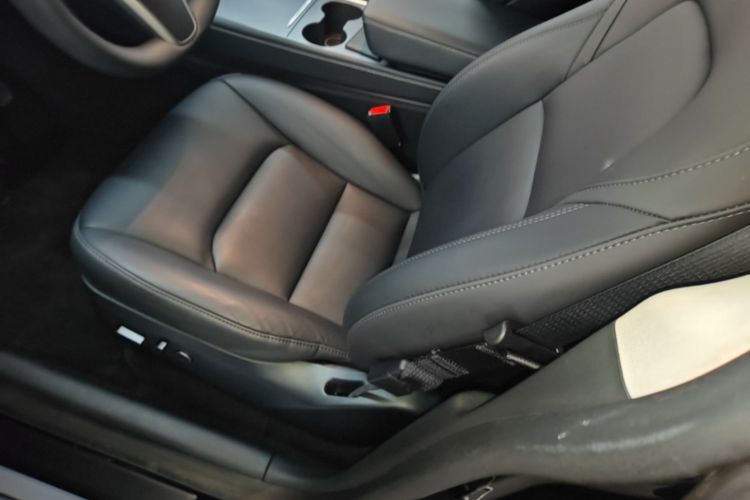 Tesla Model Y 2023 #15 Tesla Model Y 2023 car image #15