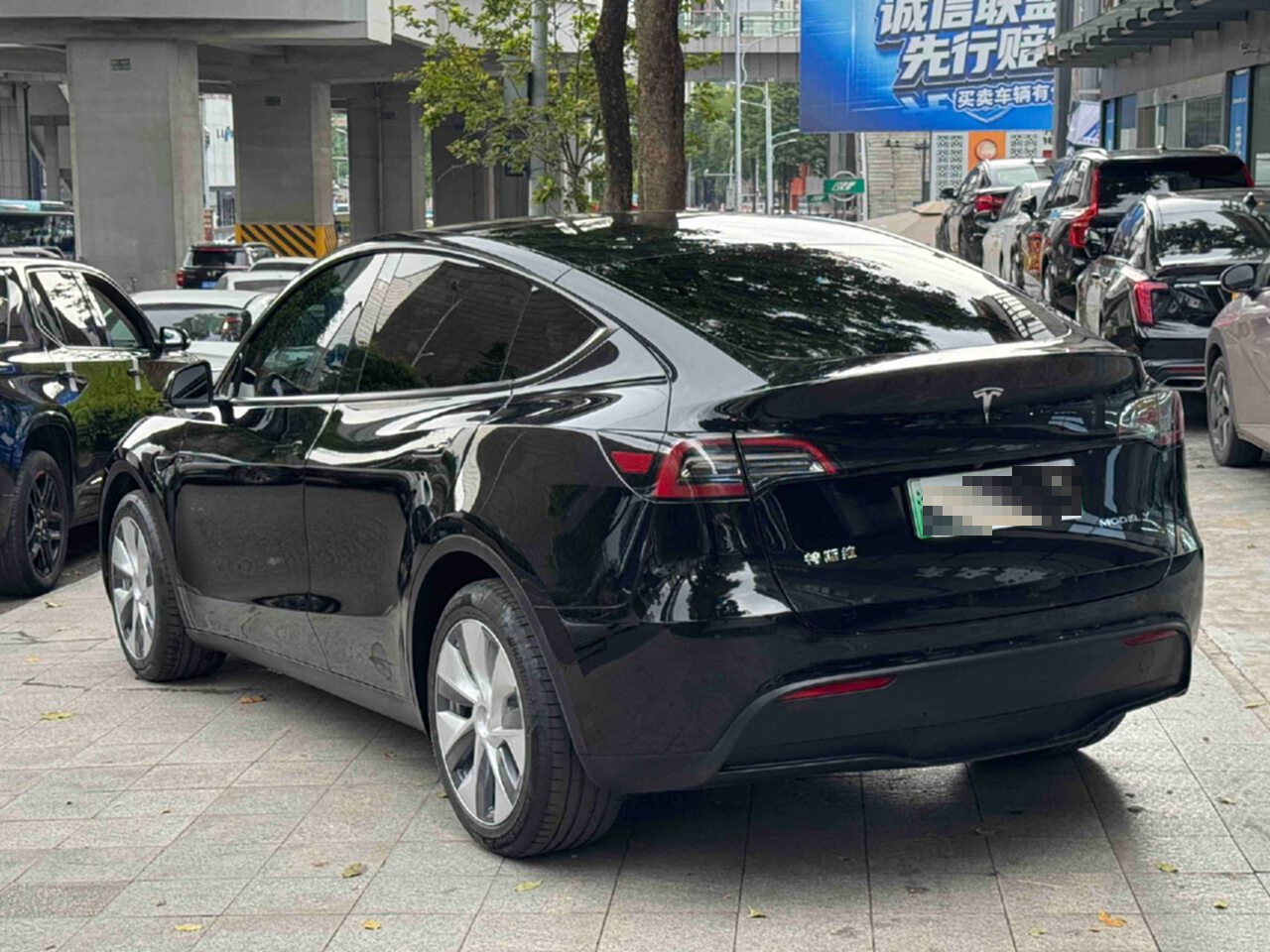 Tesla Model Y 2023 car image #6
