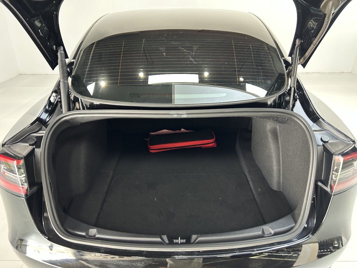 Tesla Model 3 2021 #11 Tesla Model 3 2021 car image #11