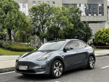 Tesla Model Y 2021 car image 