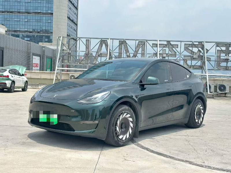 Tesla Model Y 2022 Tesla Model Y 2022 car image