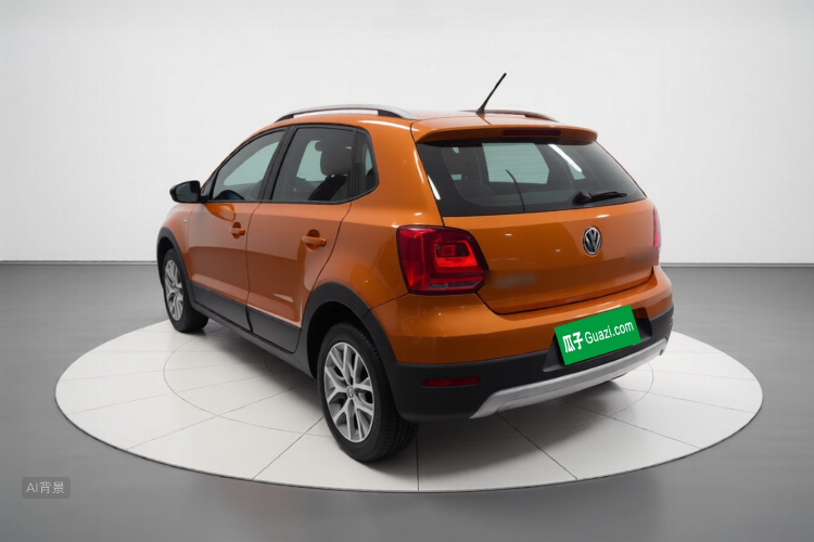 Volkswagen Polo 2014 car image #5
