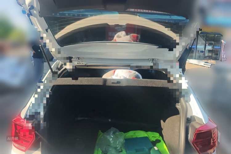 Volkswagen Polo 2022 car image #21