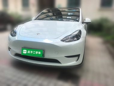 Tesla Model Y 2022 Tesla Model Y 2022 car image