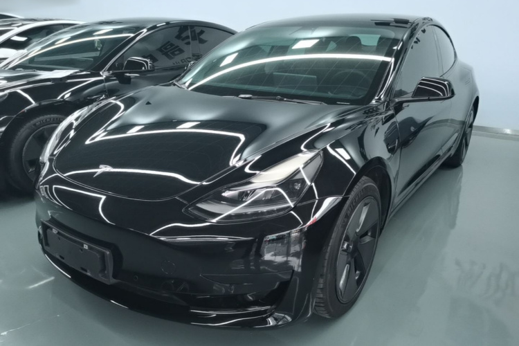 Tesla Model 3 2021 #2 Tesla Model 3 2021 car image #2