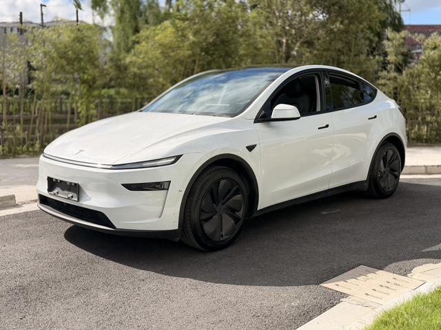 Tesla Model Y 2025 car image #11