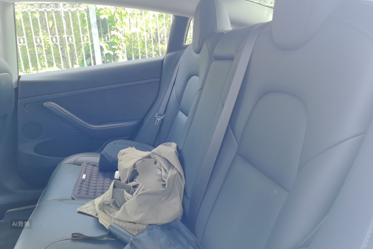 Tesla Model 3 2022 #19 Tesla Model 3 2022 car image #19