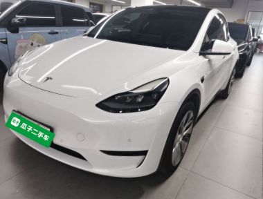 Tesla Model Y 2022 Tesla Model Y 2022 car image