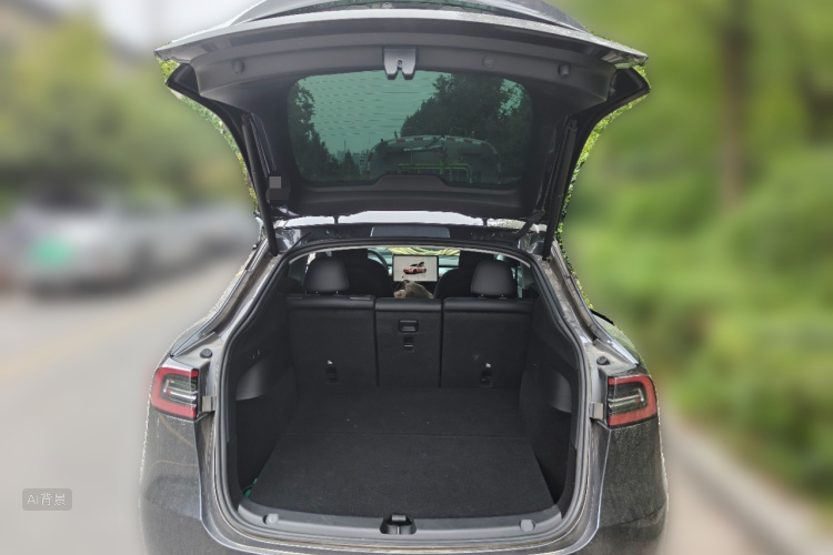 Tesla Model Y 2024 car image #21