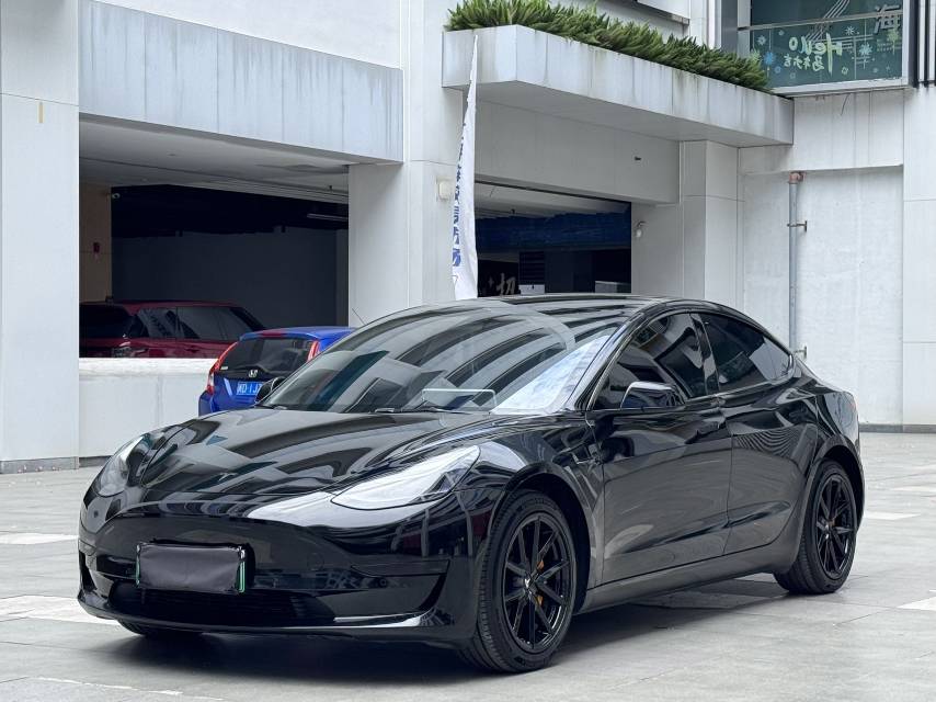 Tesla Model 3 2021 Tesla Model 3 2021 car image