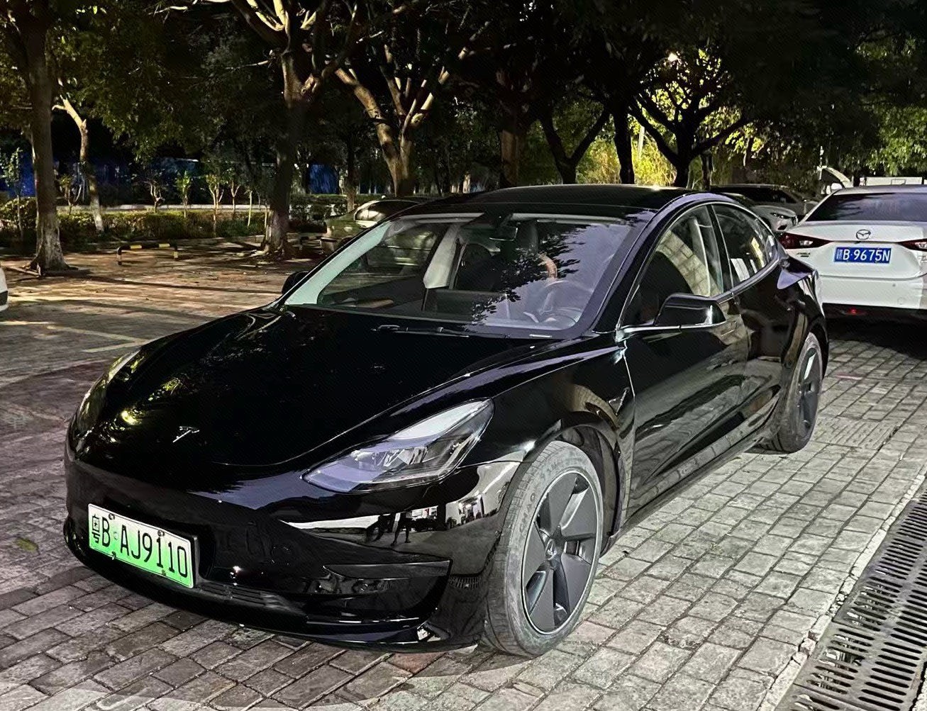 Tesla Model 3 2022 Tesla Model 3 2022 car image