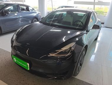 特斯拉 Model 3 2020 汽车图片 