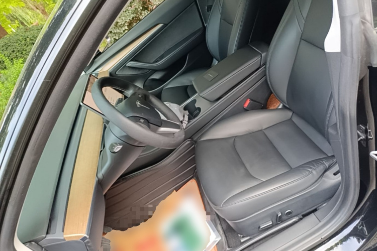 Tesla Model 3 2021 #19 Tesla Model 3 2021 car image #19