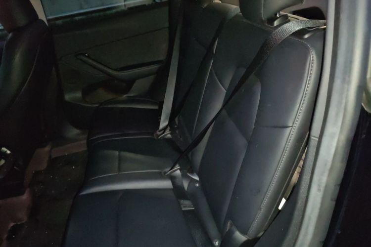 Tesla Model Y 2023 #14 Tesla Model Y 2023 car image #14