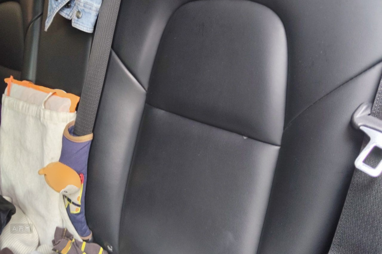Tesla Model 3 2022 car image #19