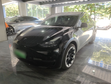 Tesla Model Y 2023 Tesla Model Y 2023 car image