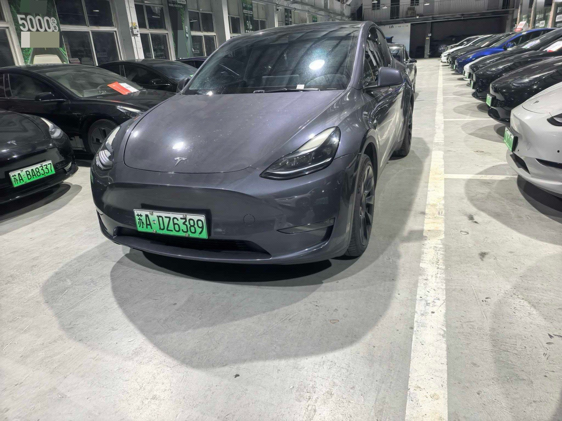 Tesla Model Y 2023 car image 