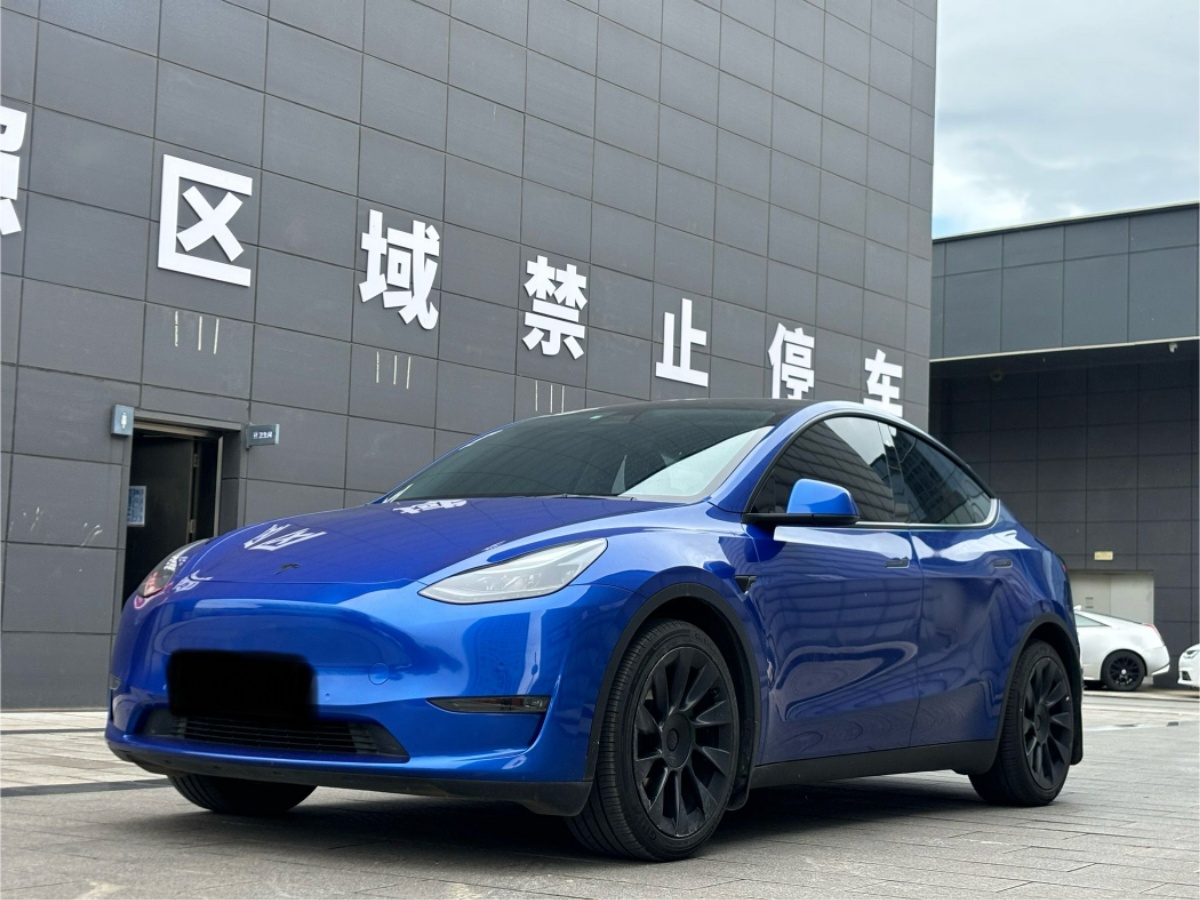 Tesla Model Y 2021 car image 