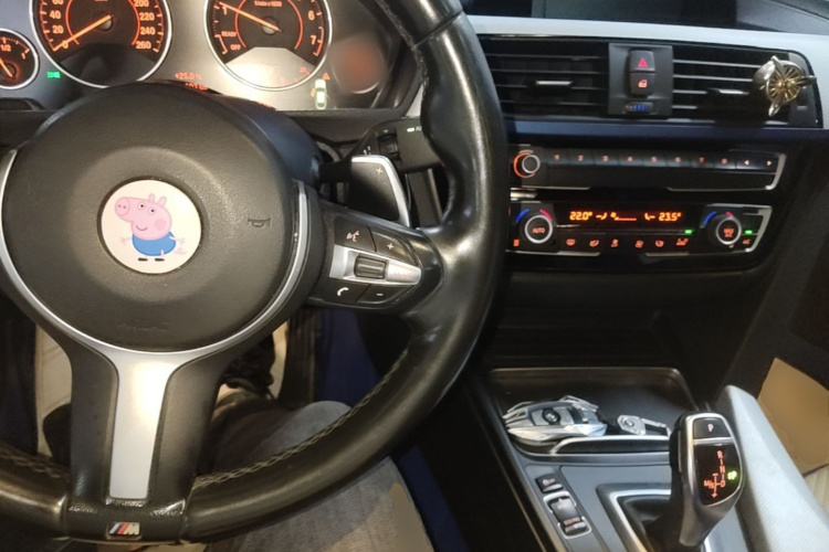 BMW 3 Series GT 2018 car image #10