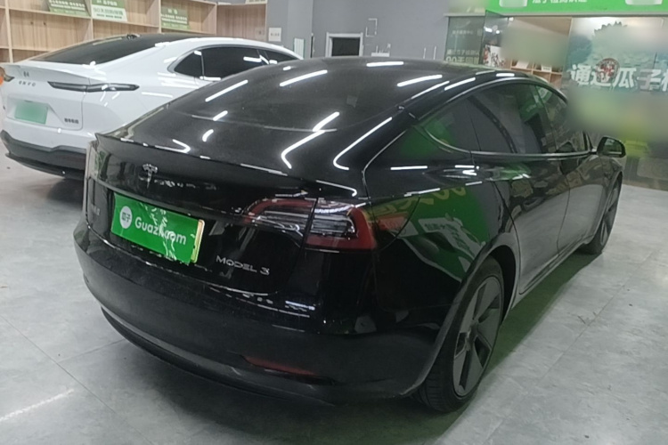 Tesla Model 3 2021 immagine di auto #5