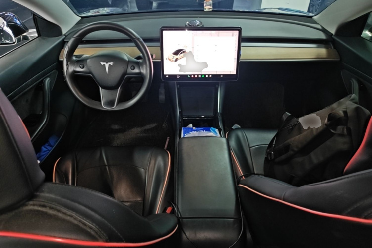 Tesla Model 3 2020 car image #10