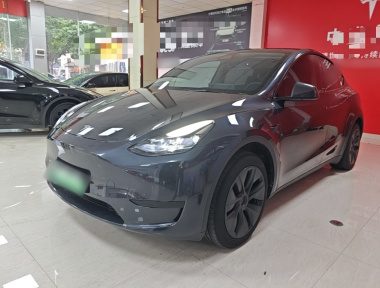 Tesla Model Y 2024 Tesla Model Y 2024 car image