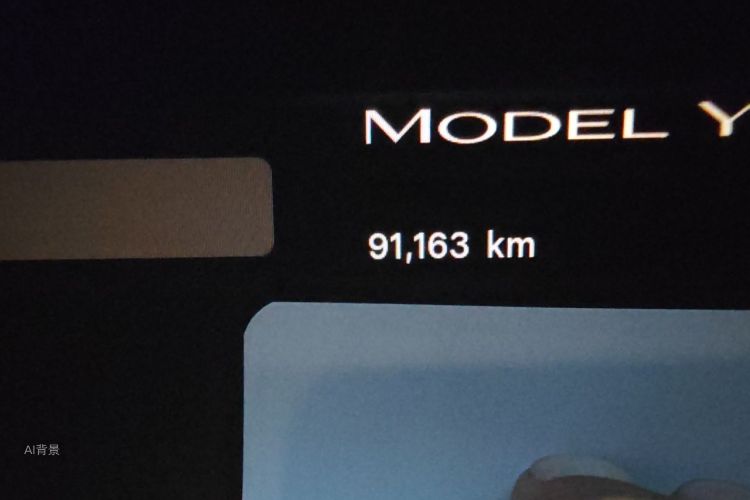 Tesla Model Y 2022 #14 Tesla Model Y 2022 car image #14