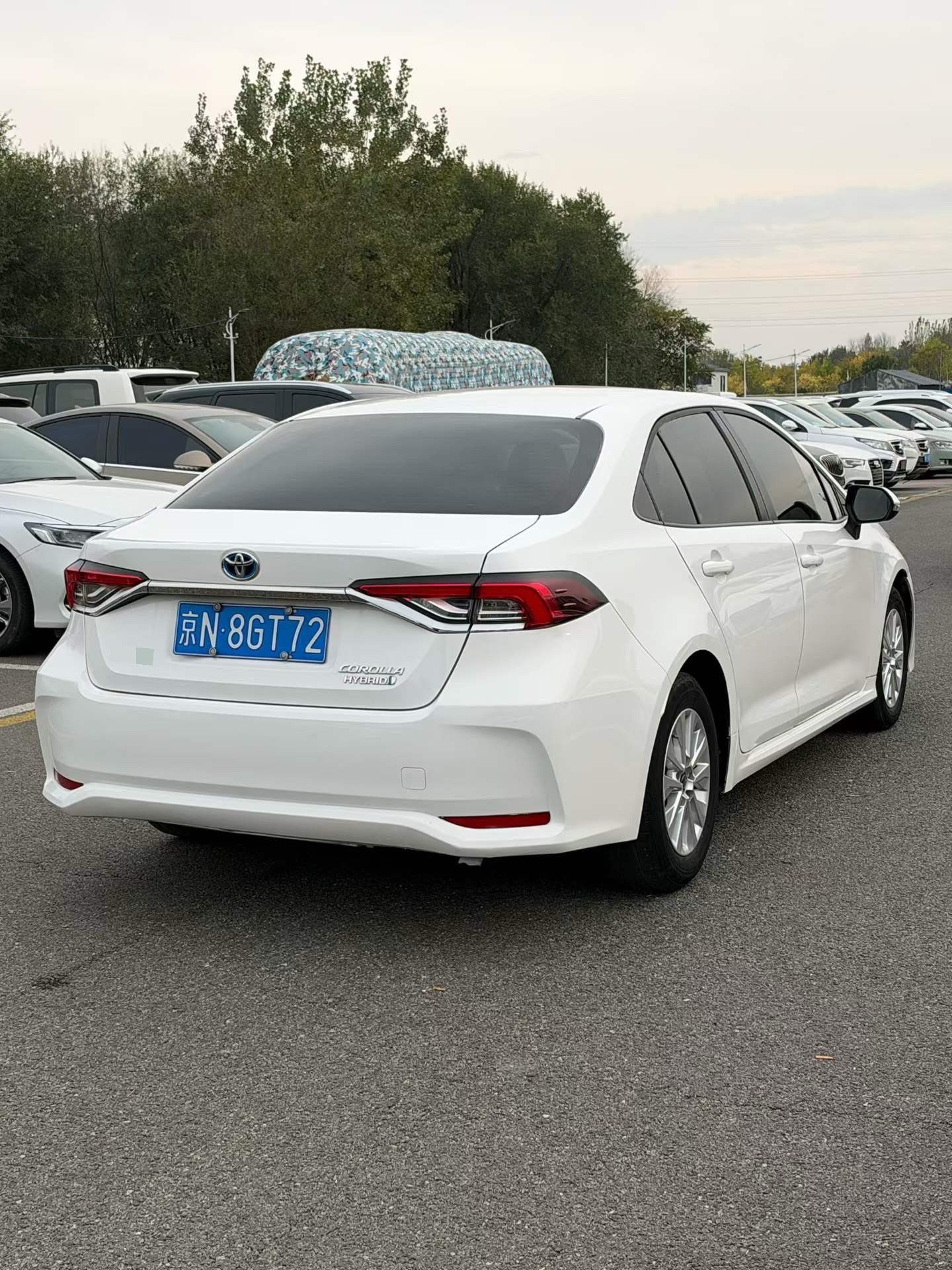 Toyota Corolla 2023 #6 Toyota Corolla 2023 car image #6
