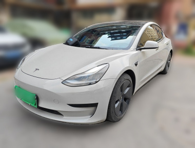 Tesla Model 3 2021 car image 