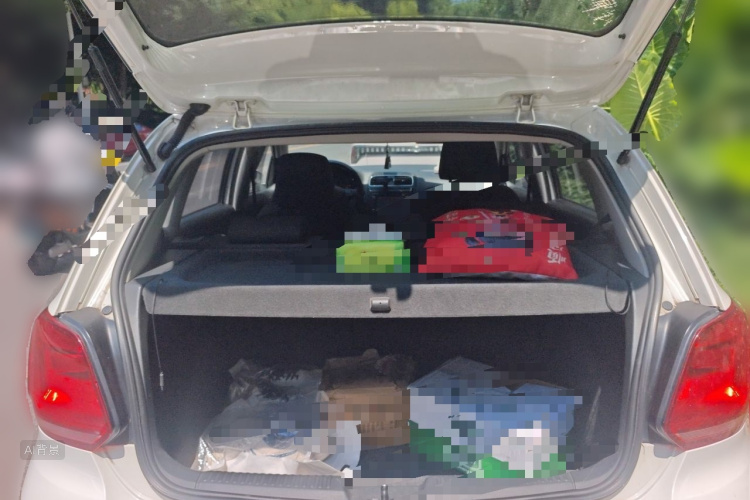 Volkswagen Polo 2014 car image #21