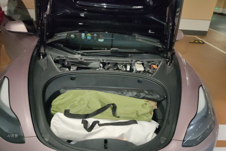 Tesla Model 3 2022 car image #22