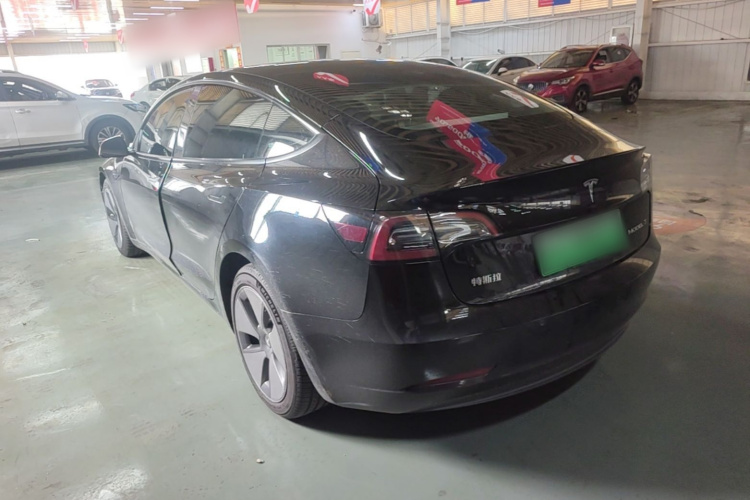 Tesla Model 3 2021 #5 Tesla Model 3 2021 car image #5