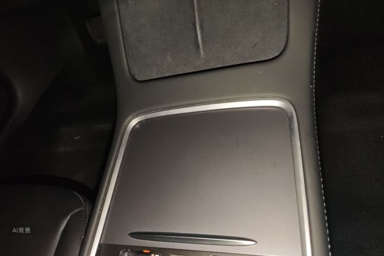 Tesla Model 3 2021 car image #10