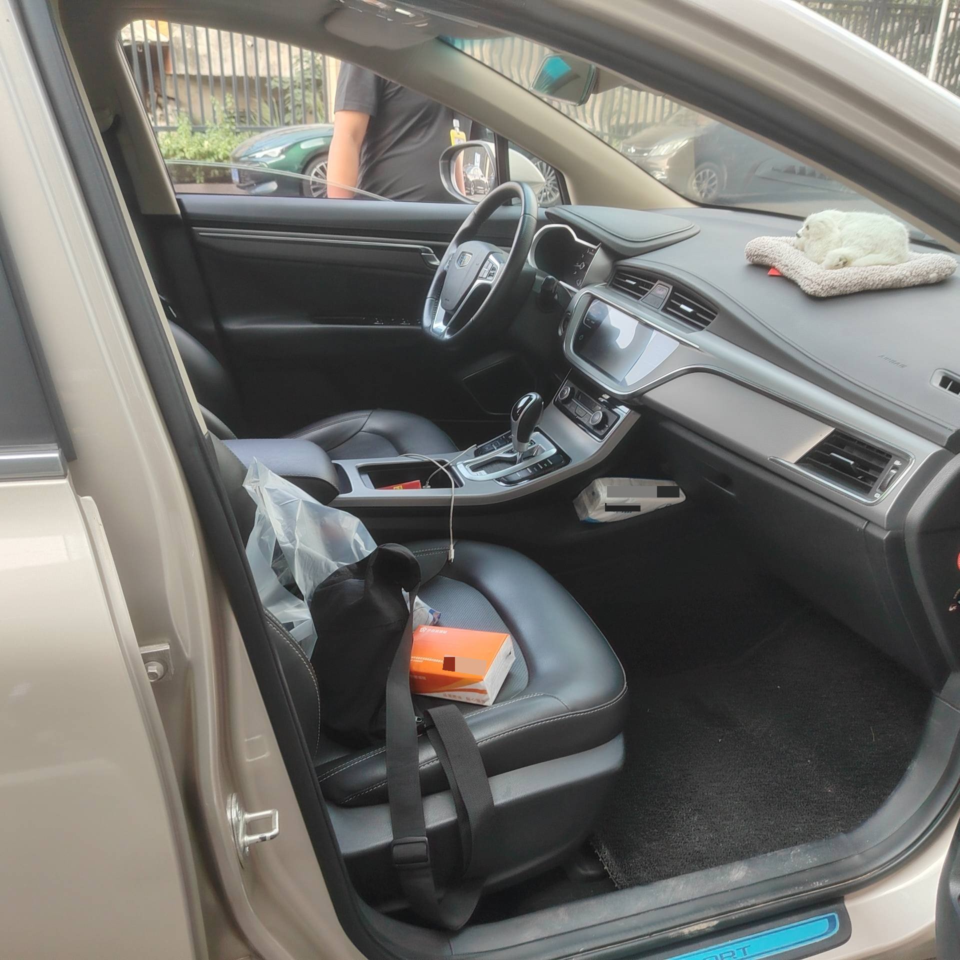 GEELY Emgrand GS 2019 imagen de coche #5