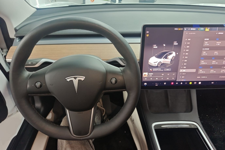 Tesla Model 3 2023 #11 Tesla Model 3 2023 car image #11