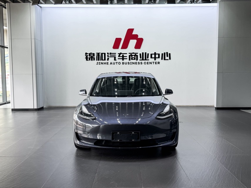 Tesla Model 3 2020 car image #2