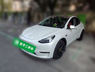 Tesla Model Y 2021 Tesla Model Y 2021 صورة سيارة