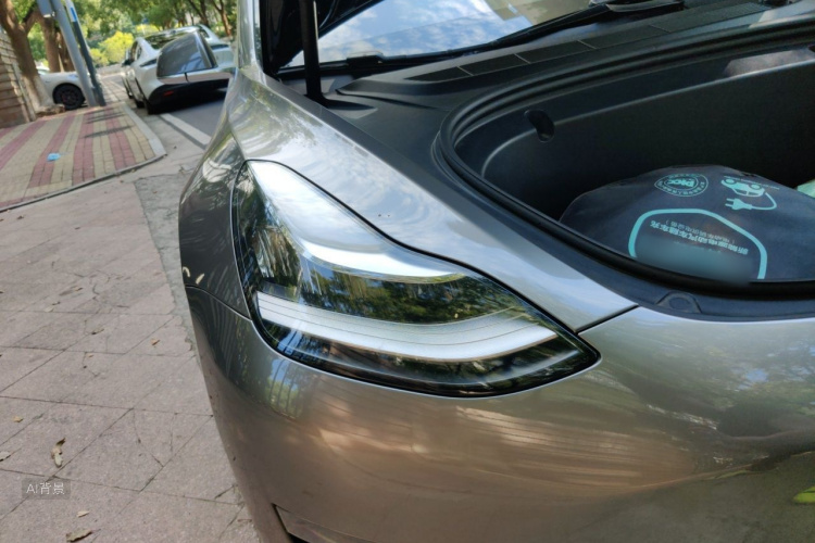 Tesla Model 3 2020 immagine di auto #8